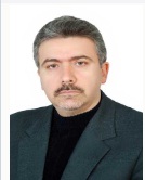 Seyed Mostafa Hosseinalipoor